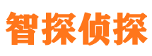 上林市侦探公司